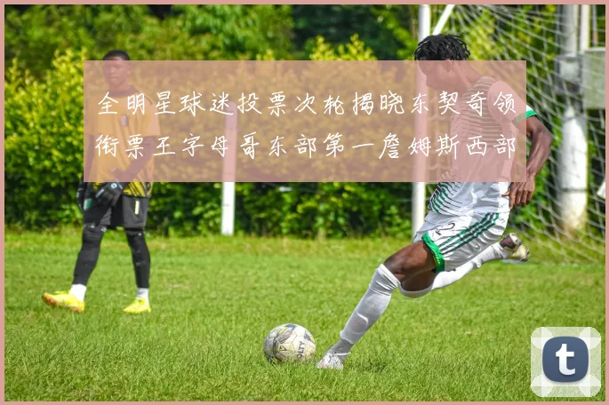 全明星球迷投票次轮揭晓东契奇领衔票王字母哥东部第一詹姆斯西部第八